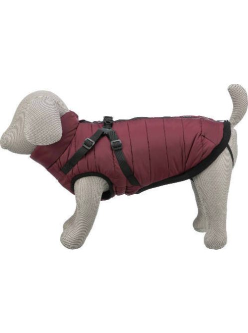 Trixie Pirou téli kabát hámmal, S:33 cm, sangria