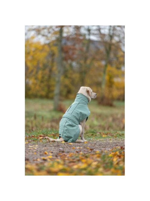KT25.Trixie Dog raincoat Lunas - esőkabát (kék,ezüst) kutyák részére (M) 50cm