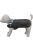 Trixie Rouen Coat 2in1 - kabát (fekete) mopszok,bulldogok részére (S) 38cm