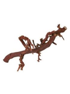 trixie 76169 szölőinda'2', M: 30–40 cm