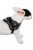 Aqua coolkeeper hűtőhám csontos S (56-77cm)