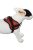 Aqua Coolkeeper Doxtasy Hám L (69-95cm)