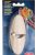 Living world Cuttlefish bone
