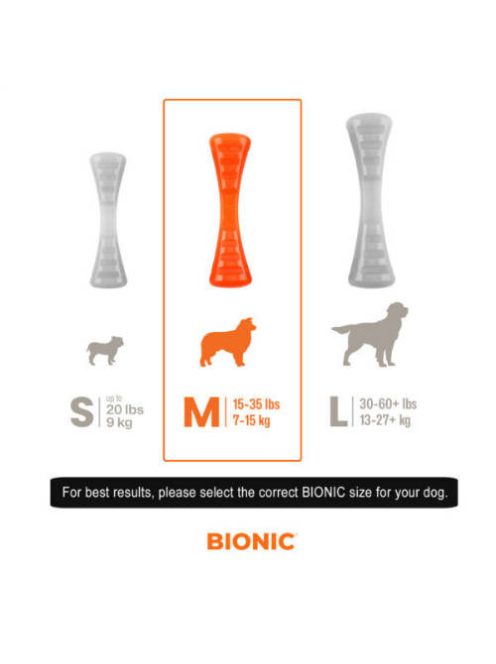 BIONIC Urban Stick, M, 23cm