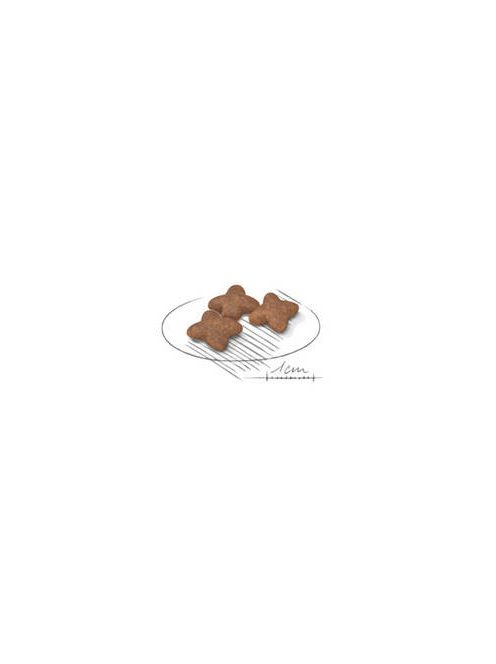 Royal Canin Adult (Mini 1-10kg) - Teljesértékű eledel kutyák részére (8kg)
