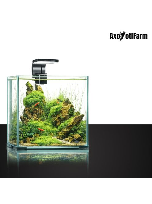 Aquael Shrimp Set Smart Day&Nnight 30 black - Nano akvárium (fekete) garnélarákoknak és kisebb halaknak (29x29x35cm)