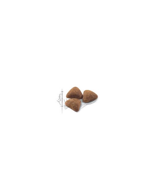 Royal Canin Feline Adul (Indoor 27) - Teljesértékű eledel macskák részére(400g)