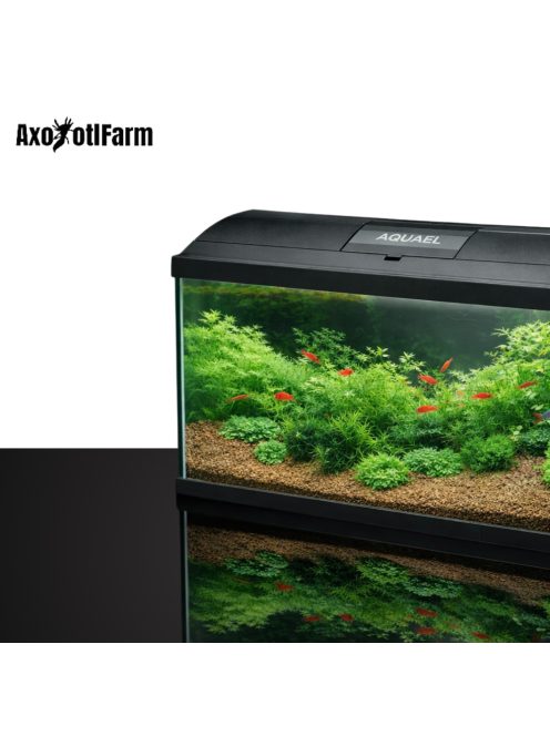 AquaEl Leddy Day&Night 60 black - akvárium szett (fekete) 54l/60x30x30cm