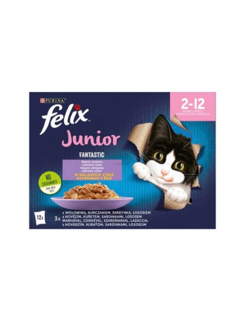 Felix Fantastic junior in jelly - alutasakos (marha,csirke,lazac,szardínia) aszpikban (12x85g)