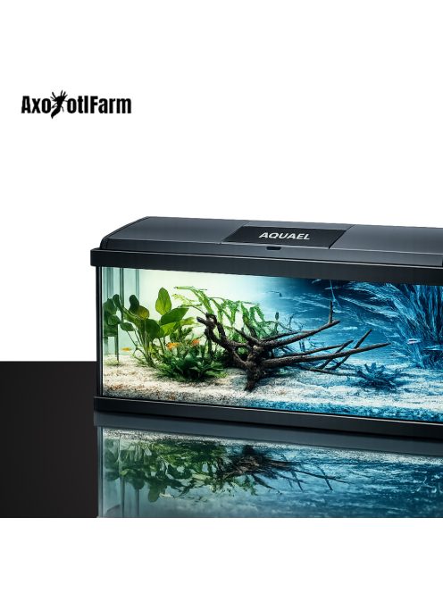 AquaEl Leddy Plus 60 Day&Night black - akvárium szett (fekete) 54liter (60x30x30cm)