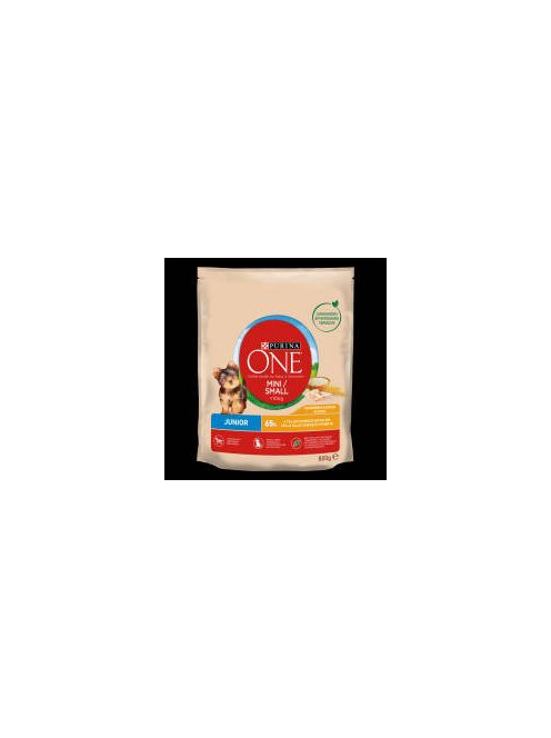 Purina ONE Mini/Small Junior - száraztáp (csirke,rizs) kutyák részére (800g)