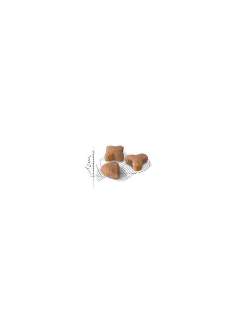 Royal Canin Feline Adult (Sensible 33) - Teljesértékű eledel macskák részére(400g)