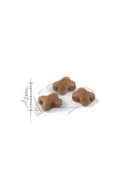 Royal Canin Feline (Kitten) - Teljesértékű eledel macskák részére(400g)