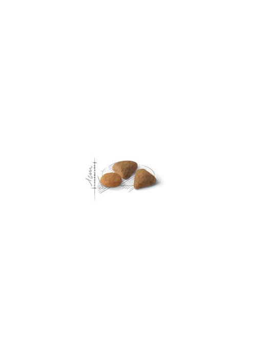 Royal Canin Feline Adul (Savour Exigent 35/30) - Teljesértékű eledel macskák részére(400g)