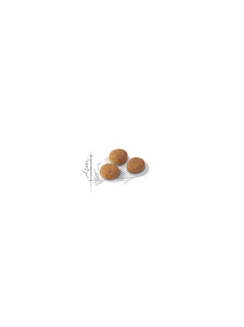 Royal Canin Feline Adult (Aroma Exigent) - Teljesértékű eledel macskák részére(400g)