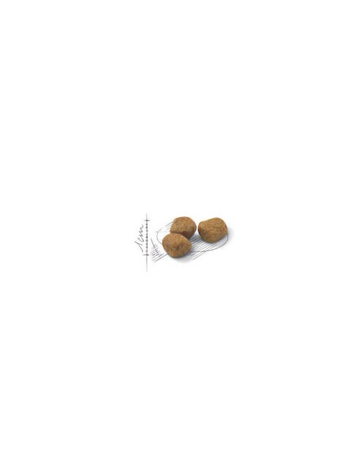 Royal Canin Feline Adul (Indoor 7+) - Teljesértékű eledel macskák részére(400g)
