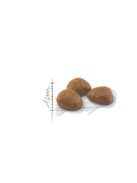 Royal Canin Feline Adult (Outdoor 7+) - Teljesértékű eledel macskák részére(400g)