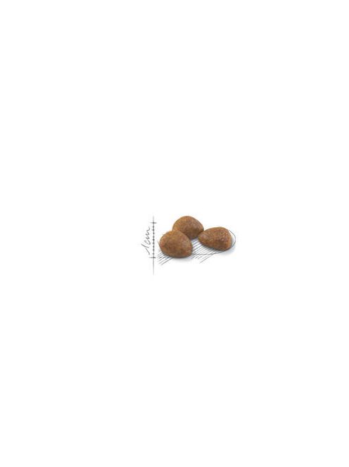 Royal Canin Feline Adult (Outdoor 7+) - Teljesértékű eledel macskák részére(400g)