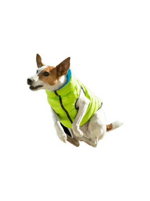 AiryVest kutyaruha kifordítható, XS 22, zöld-kék