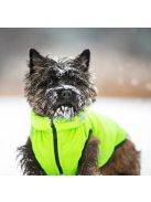 AiryVest kutyaruha kifordítható, XS 22, zöld-fekete