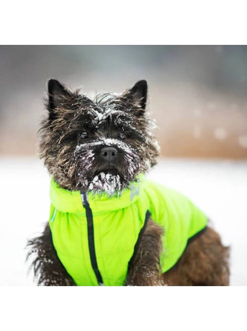 AiryVest kutyaruha kifordítható, XS 22, zöld-fekete