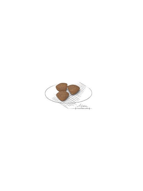 Royal Canin Puppy (Mini 1-10kg) - Teljesértékű eledel kutyák részére (800g)