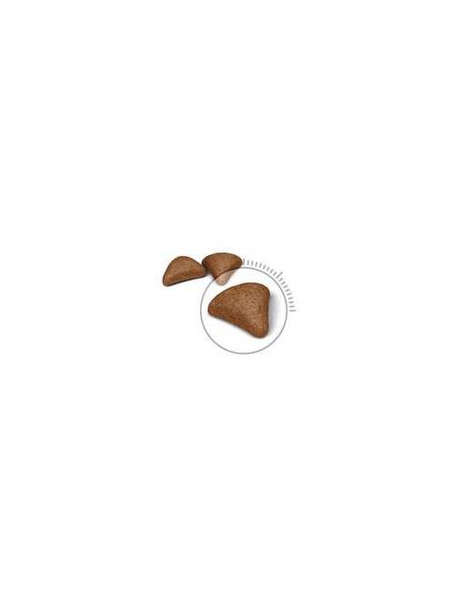 Royal Canin Feline Adul (Hairball Care) - Teljesértékű eledel macskák részére(400g)