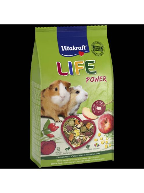 Vitakraft Life Power Cavia - kiegészítő eleség (erő-mix) tengerimalacok részére (600g)