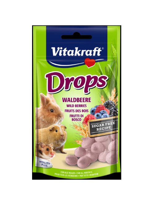 Vitakraft Drops (erdei gyümölcs) - jutalomfalat rágcsálóknak (75g)