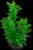 Tetra Decoart Plantastics Green Cabomba - vízi növény természetes másolata (S)