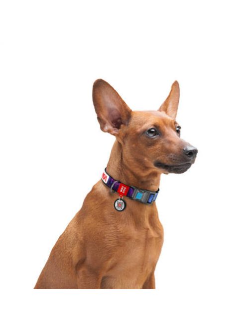 WAUDOG collar NASA21 - nyakörv (QR kódos, NASA21 dizájn, müa.csatt) kutyák részére (24-40cm/20mm) M