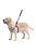 WAUDOG harness NASA21 - hám (QR kódos, NASA21 dizájn, müa.csatt) kutyák részére (60-90cm/25mm) L