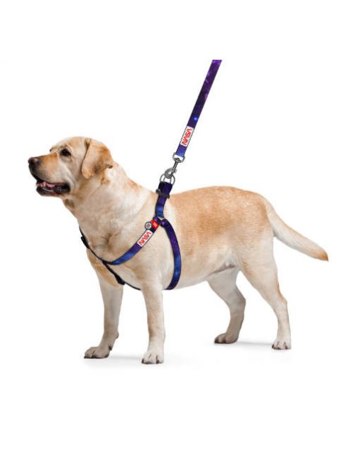 WAUDOG harness NASA21 - hám (QR kódos, NASA21 dizájn, müa.csatt) kutyák részére (60-90cm/25mm) L