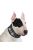 Aqua Coolkeeper Cooling collar - hűtőnyakörv (skótkockás) kutyák részére (XXL) 55-60cm/8,5cm