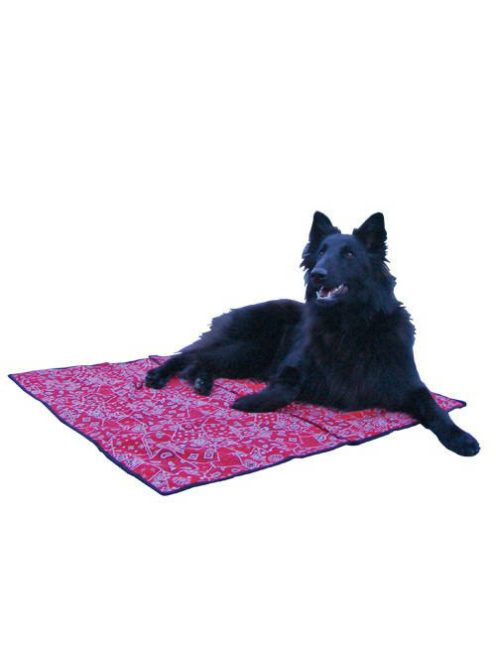 Aqua Coolkeeper cooling Mat - hűtőpléd (rózsaszín) XL (90x80cm)