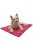 Aqua Coolkeeper hűtőpléd piros western S (40x30cm)