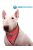 Aqua Coolkeeper hűtőkendő piros western XXS (19-25cm)