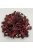 Trópus - kiegészítő eleség (hibiszkusz) rágcsálók részére (60g)