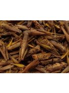 Trópus Dried Grasshopper - kiegészítő eleség (szárított szöcske) rágcsálók,madarak, sünik és hüllők részére (40g)