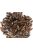 Trópus Dried Cricket - kiegészítő eleség (szárított tücsök) rágcsálók,madarak, sünik és hüllők részére (40g)