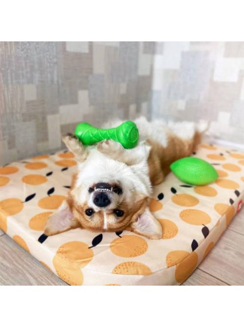 PitchDog Safe And Durable Barbell-Shaped Dog Toy - játék (súlyzó,lime) kutyák részére (Ø7cm/19cm)