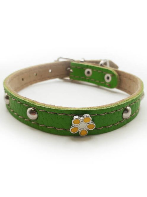 Nyakörv (bőr, gyantásvirággal) kutyák részére (több féle színben) 15mm/45cm (32g)