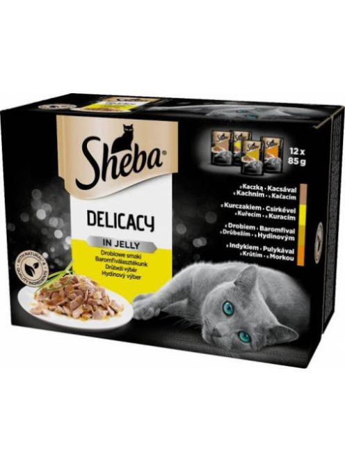 Sheba Delicacy in Jelly Adult - Alutasakos (Baromfi válogatás, zselés) macskák részére (12x85g)