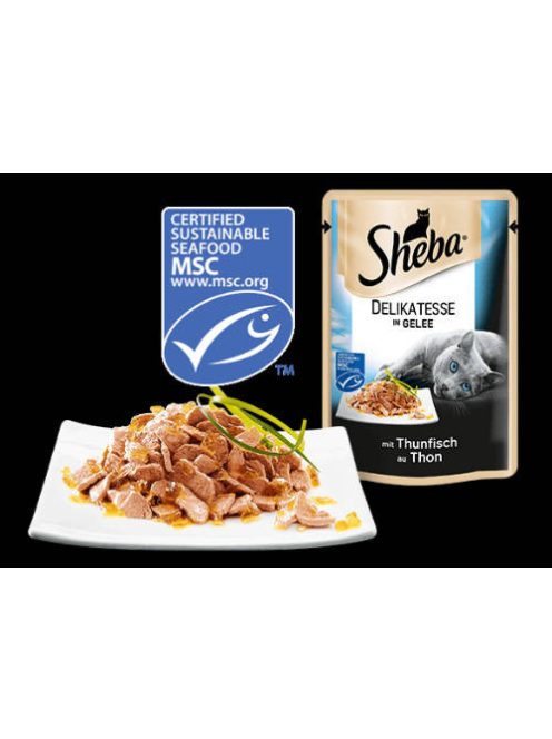 Sheba Delicato Adult Alutasakos - Pulyka - aszpikban (85g)