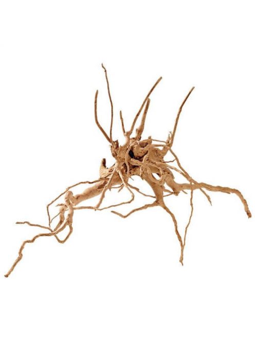 Finger wood - dekoráció (fagyökér) akváriumokba XL-es (40-50cm)