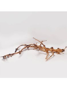   SZB Akvárium dísz - (Japán fagyökér) akváriumba és terráriumba  (Nano)
