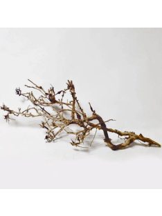   SZB Akvárium dísz - (Japán fagyökér) akváriumba és terráriumba (XXL)