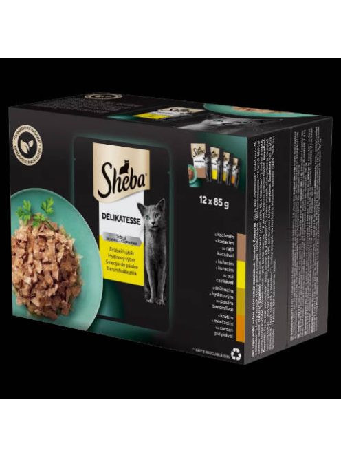 Sheba Delicacy in Jelly Adult - Alutasakos (Baromfi válogatás, zselés) macskák részére (12x85g)