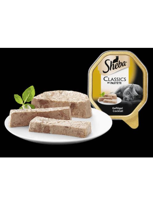 Sheba Adult Alutálcás - Szárnyas pástétom (85g)