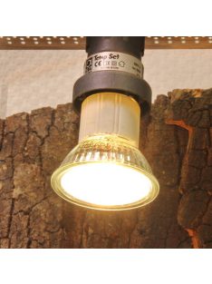   JBL ReptilDay Halogen - Halogén spot izzó terráriumba (100W)